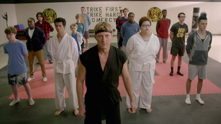 karate kid netflix cobra kai